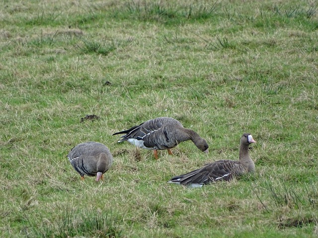 冠军至关重 冠军至关重