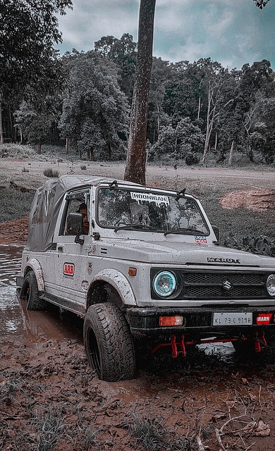 惊人的韧性 惊人的韧性