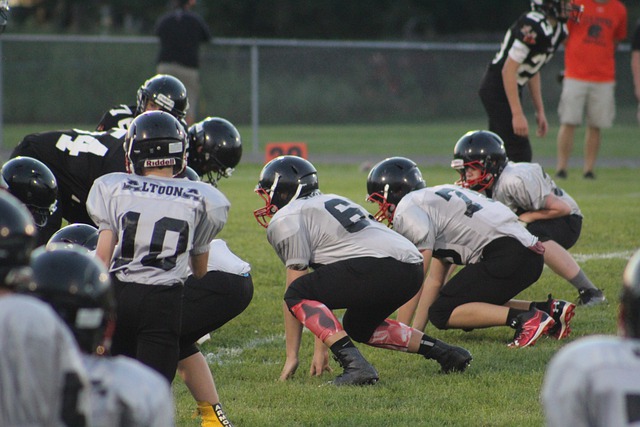 迈阿密热火 迈阿密热火