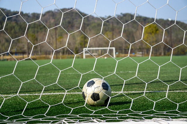 尤其是戈贝 尤其是戈贝