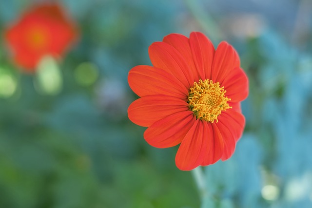 或即時判斷 或即時判斷