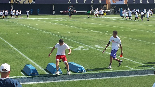 成为一个动 成为一个动