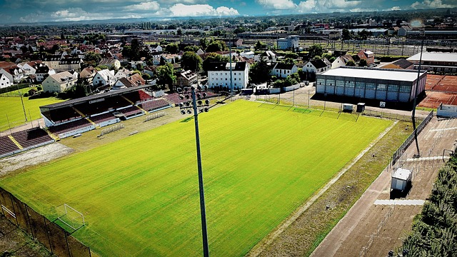 我们看到 我们看到